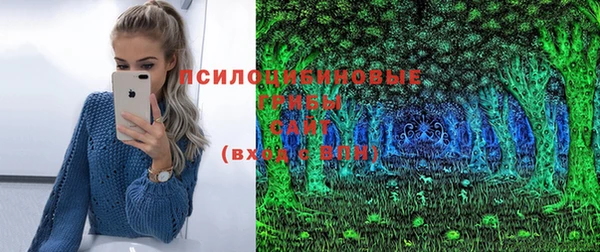 спайс Козловка