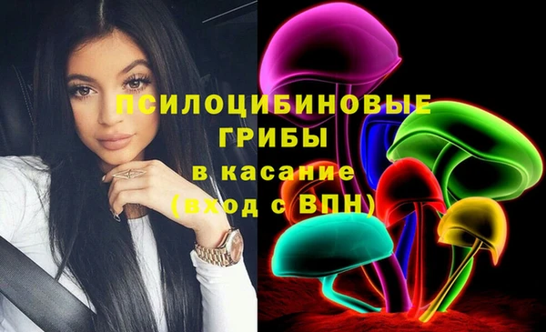 соль ск Козельск