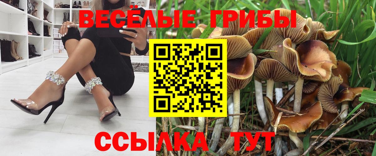 Галлюциногенные грибы Magic Shrooms Канск