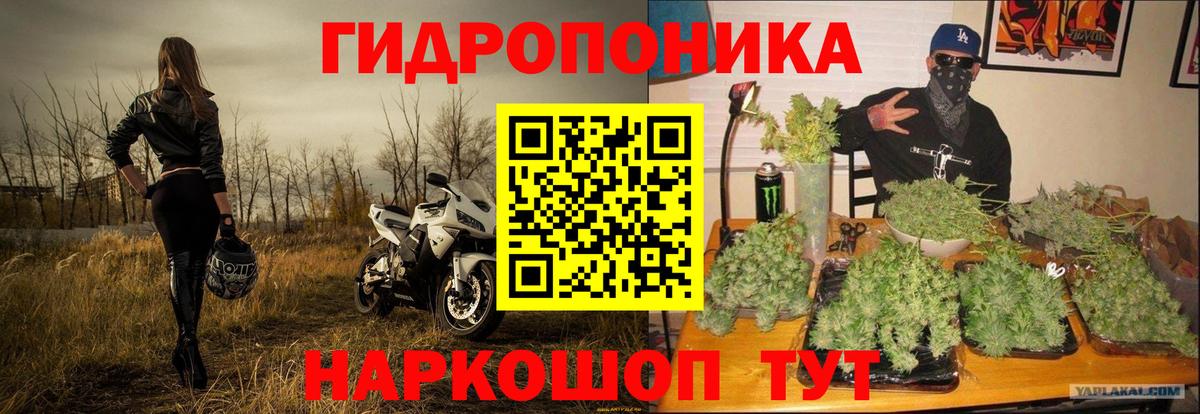 Канск  Бошки марихуана марихуана  Вход с VPN  Марихуана MAZAR 